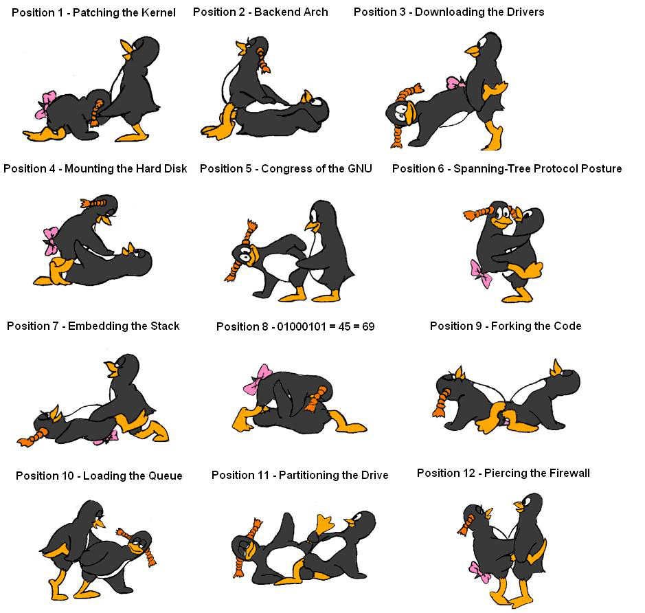 Linux Sex Positions Kama Sutra